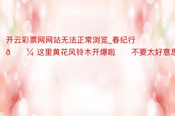 开云彩票网网站无法正常浏览_春纪行🌼 这里黄花风铃木开爆啦‼️不要太好意思