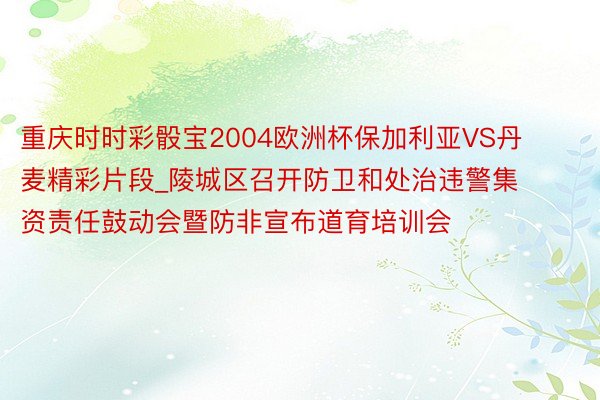 重庆时时彩骰宝2004欧洲杯保加利亚VS丹麦精彩片段_陵城区召开防卫和处治违警集资责任鼓动会暨防非宣布道育培训会