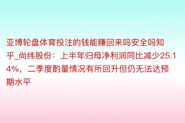 亚博轮盘体育投注的钱能赚回来吗安全吗知乎_尚纬股份：上半年归母净利润同比减少25.14%，二季度酌量情况有所回升但仍无法达预期水平