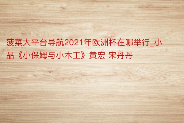 菠菜大平台导航2021年欧洲杯在哪举行_小品《小保姆与小木工》黄宏 宋丹丹