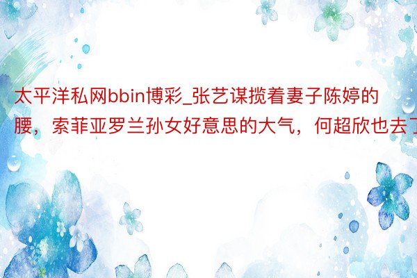 太平洋私网bbin博彩_张艺谋揽着妻子陈婷的腰，索菲亚罗兰孙女好意思的大气，何超欣也去了